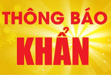Thông báo thay đổi địa điểm tổ chức đấu giá ngày 05/7/2025
